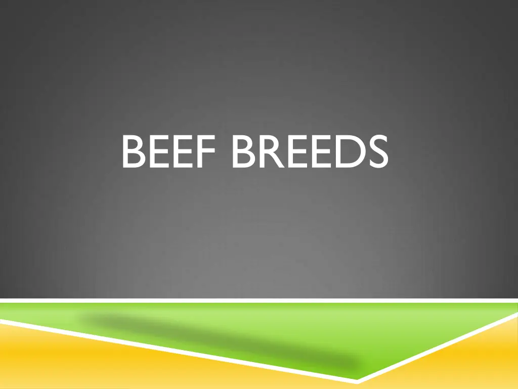 beef breeds