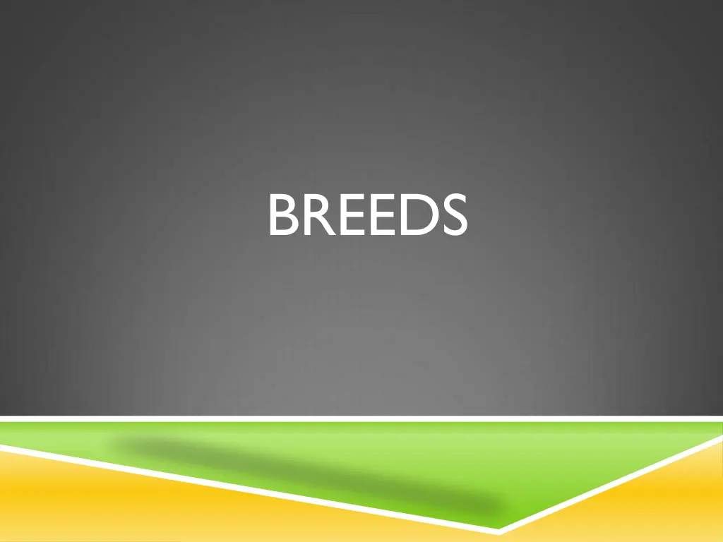 breeds