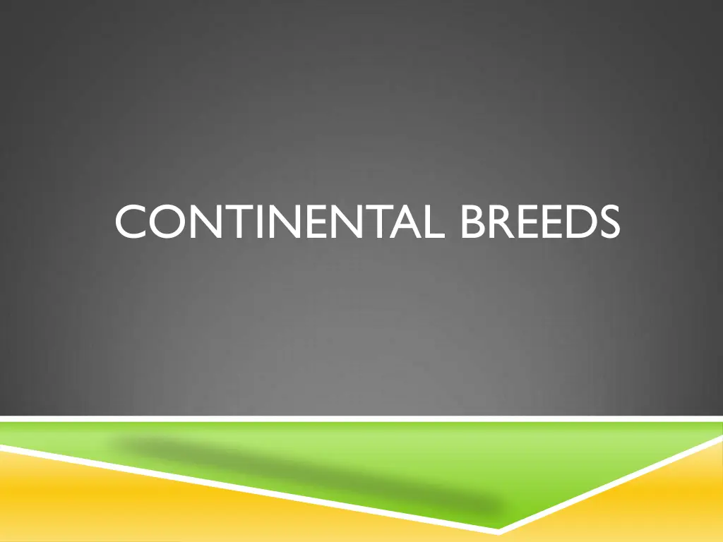 continental breeds