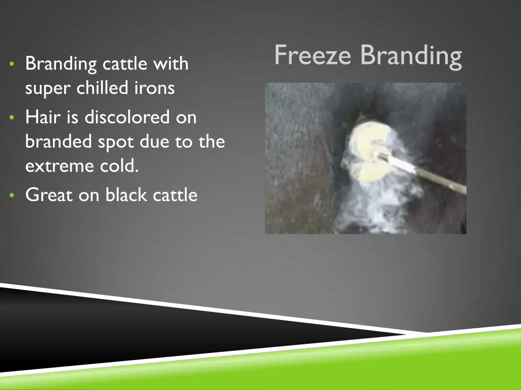 freeze branding