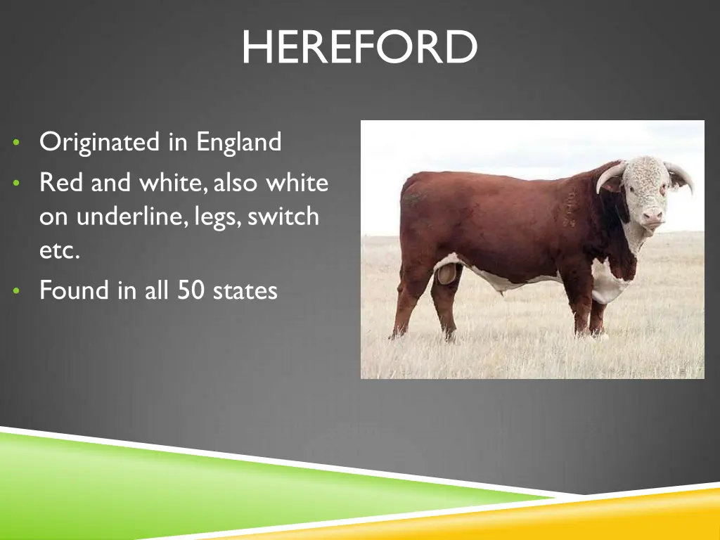 hereford