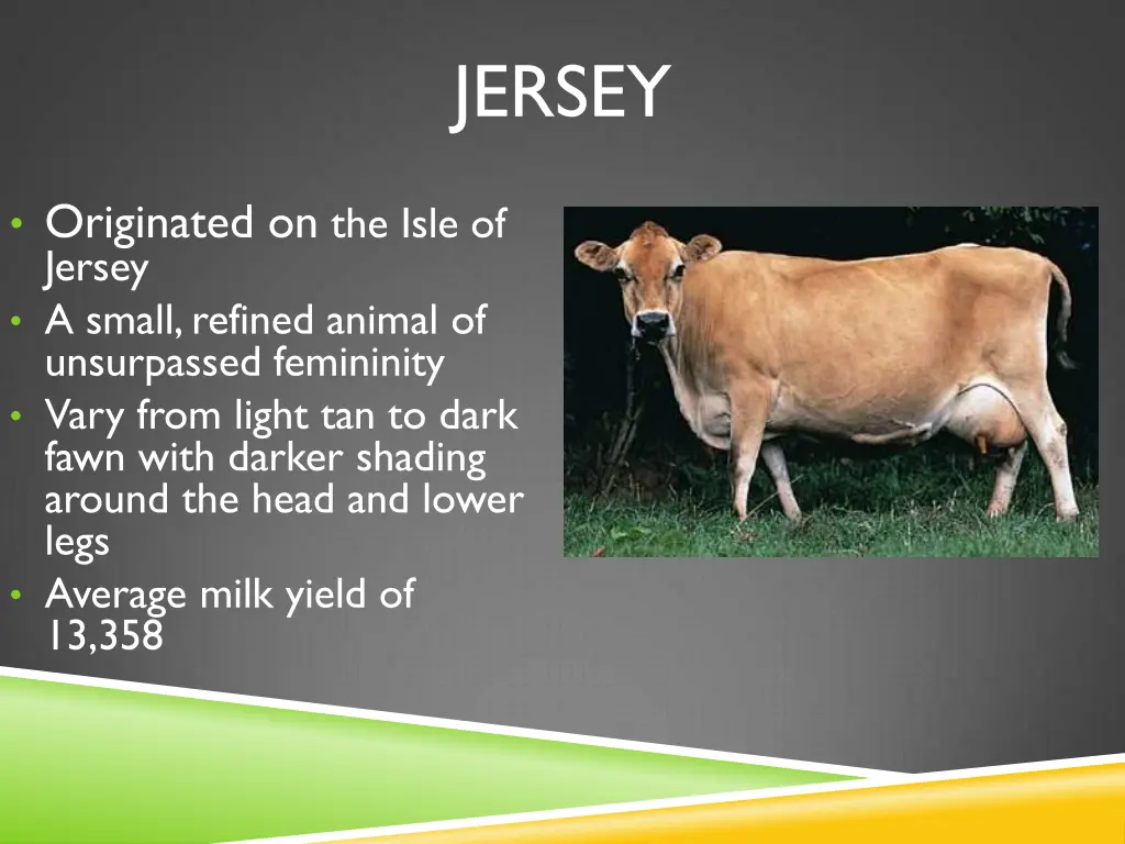 jersey