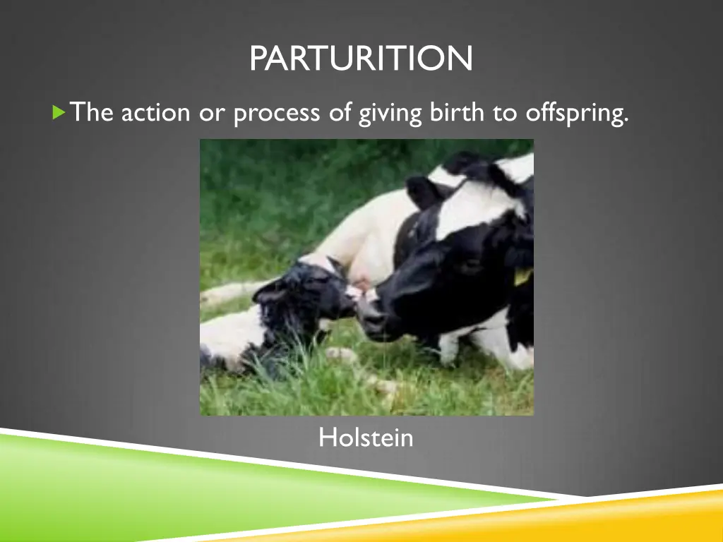 parturition