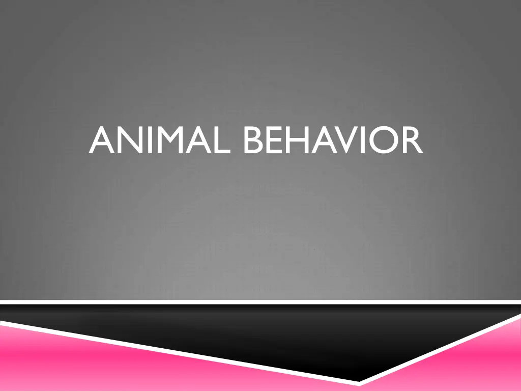 animal behavior