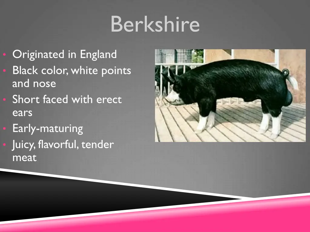 berkshire