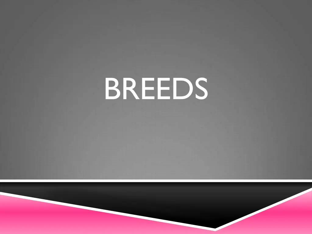 breeds