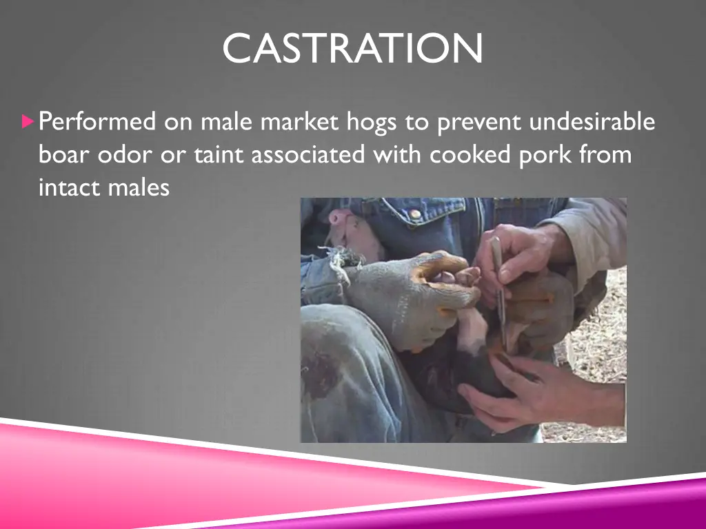 castration