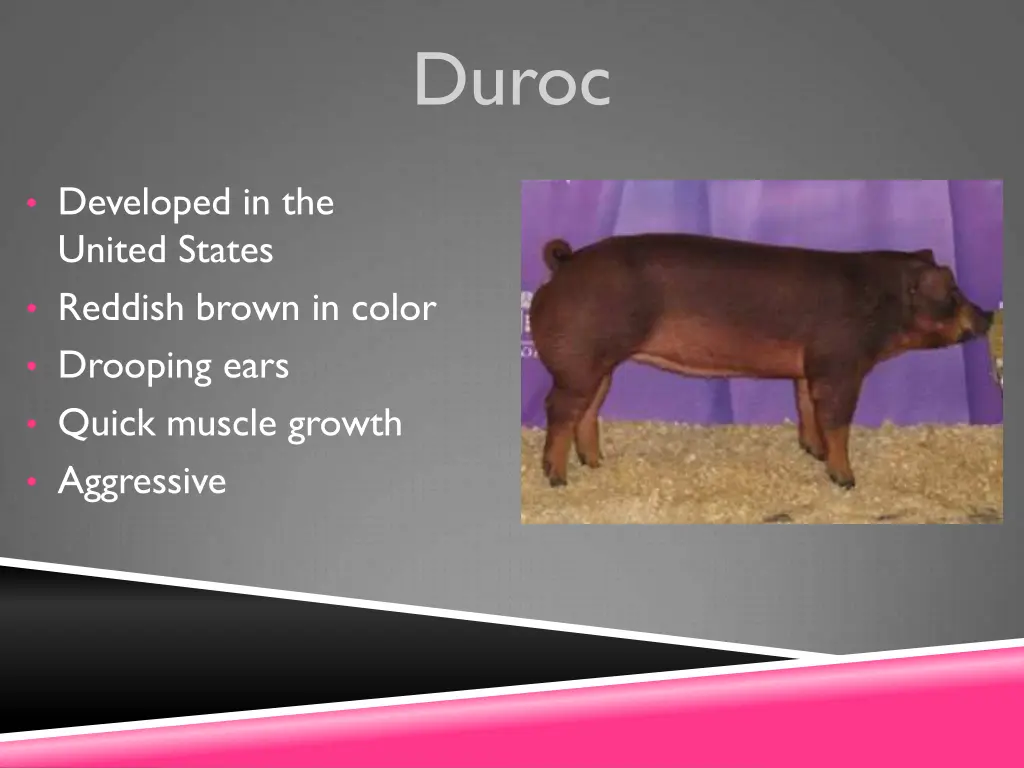 duroc