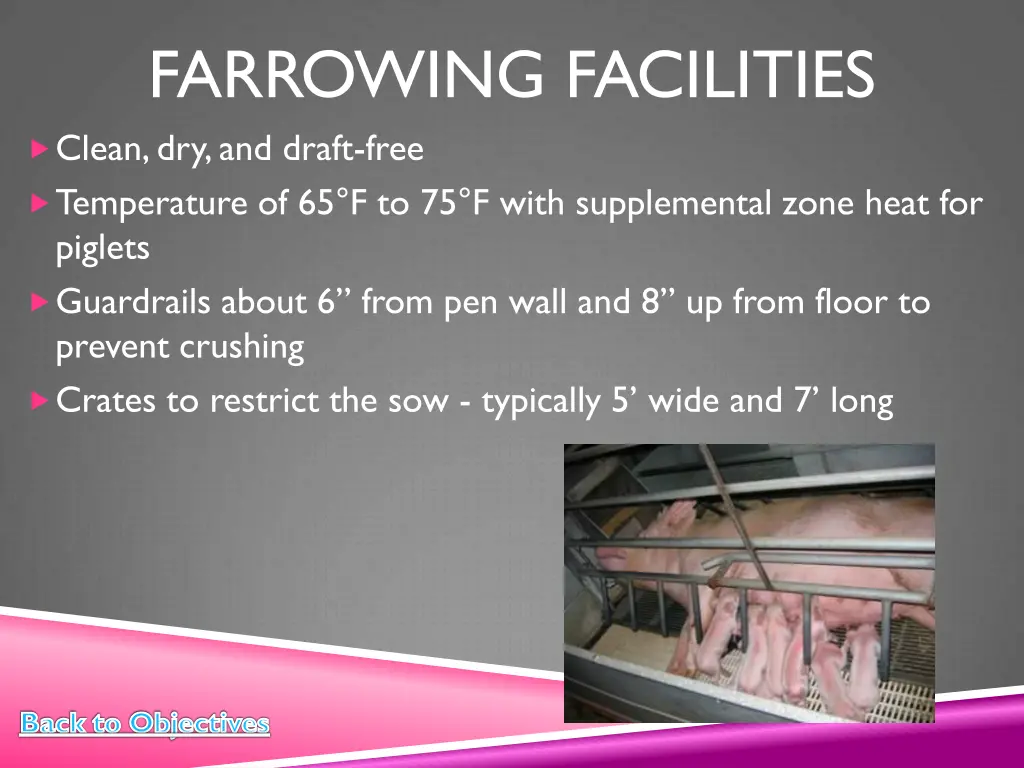 farrowing facilities clean dry and draft free