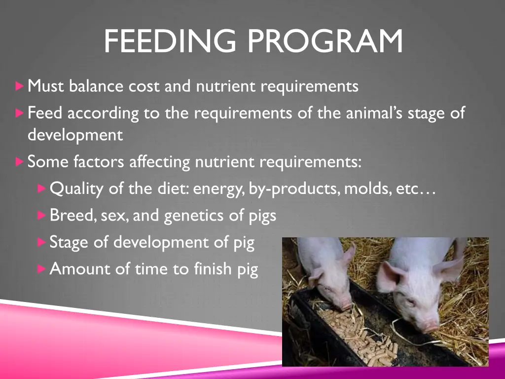 feeding program