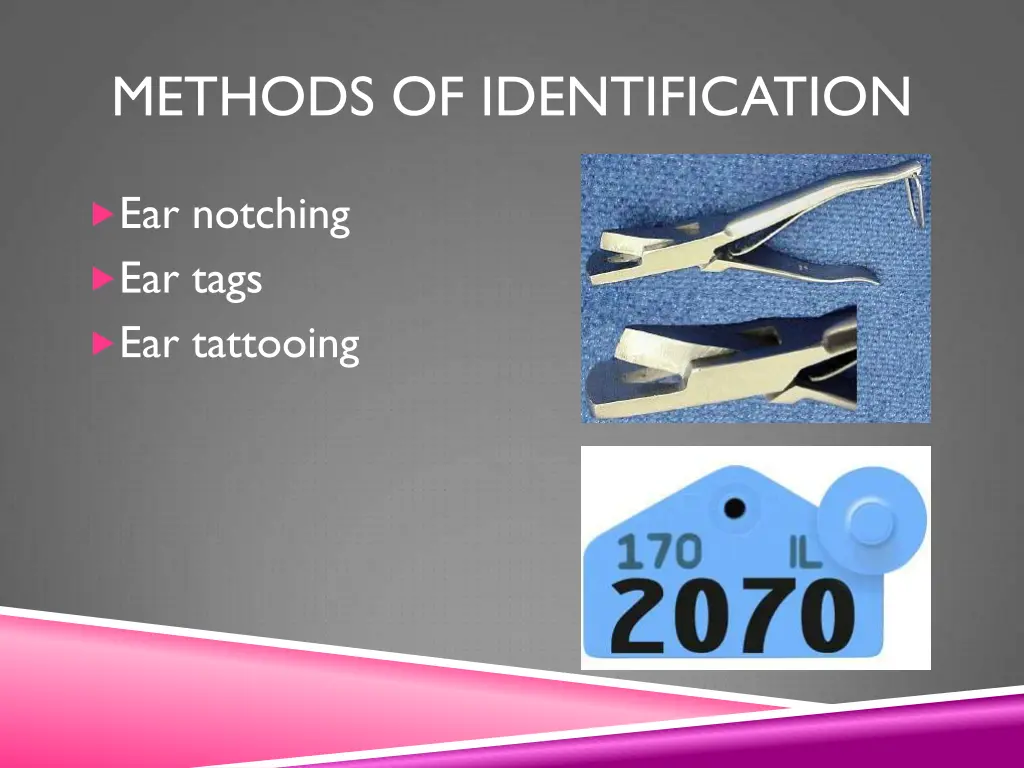 methods of identification