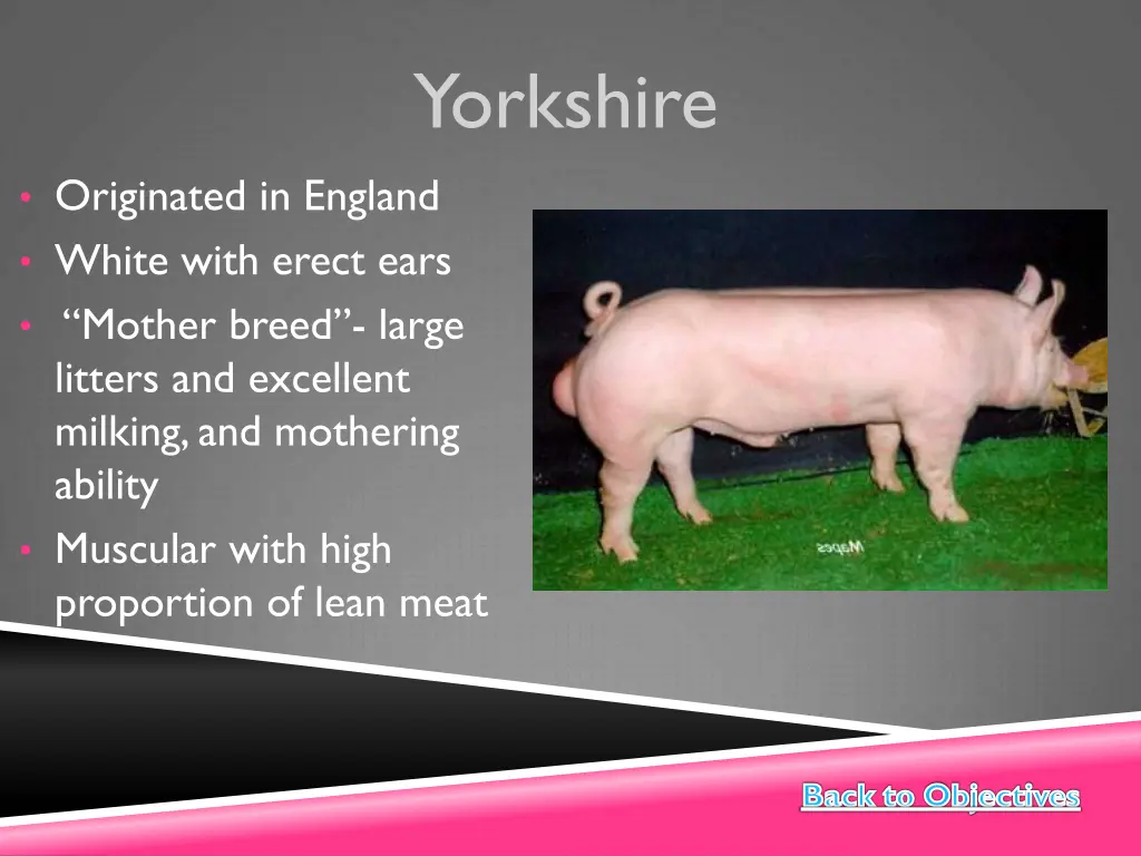 yorkshire