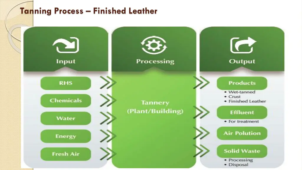 tanning process finished leather