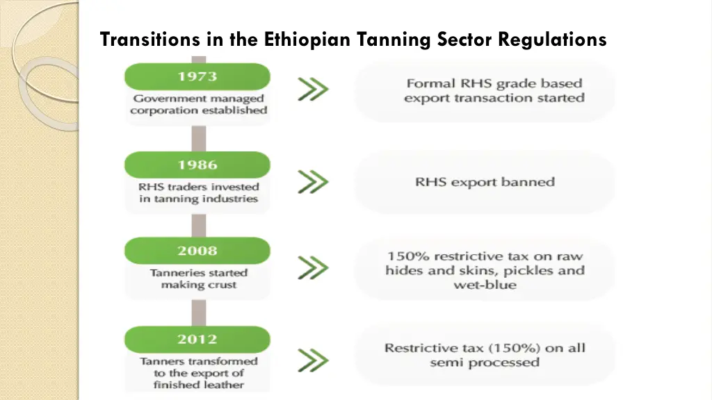 transitions in the ethiopian tanning sector