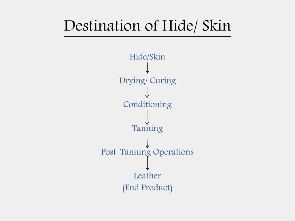 destination of hide skin