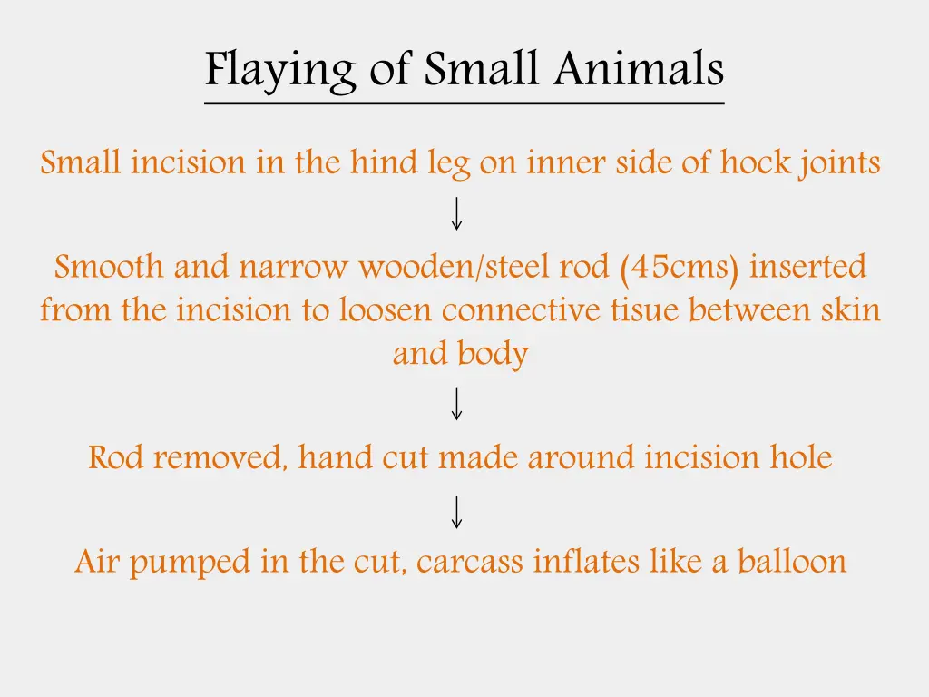 flaying of small animals