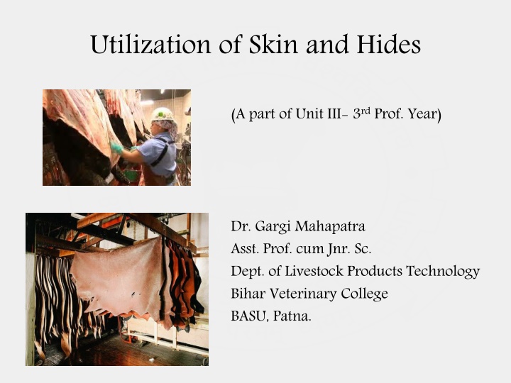 utilization of skin and hides