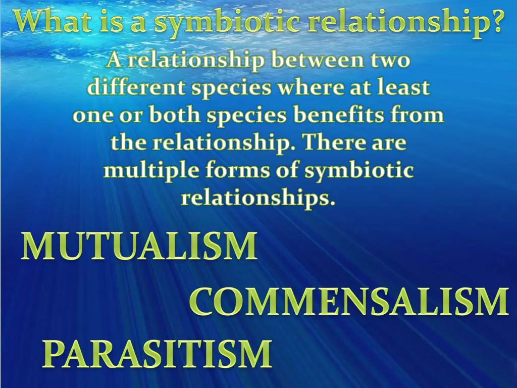 a relationship between two different species