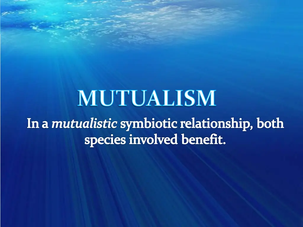 mutualism in a mutualistic symbiotic relationship