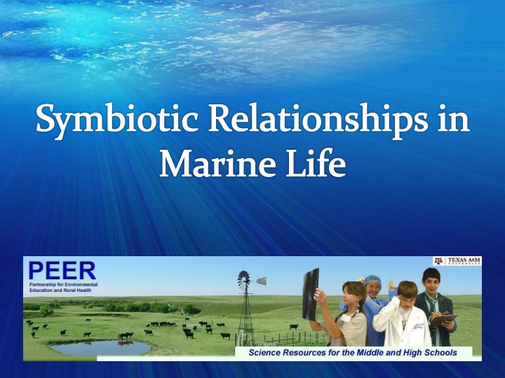 symbiotic relationships in marine life