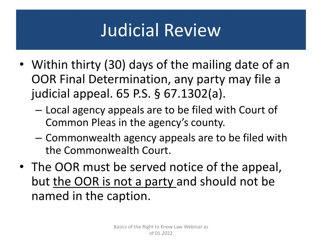 judicial review