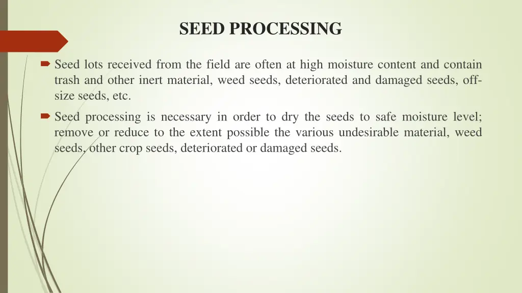 seed processing