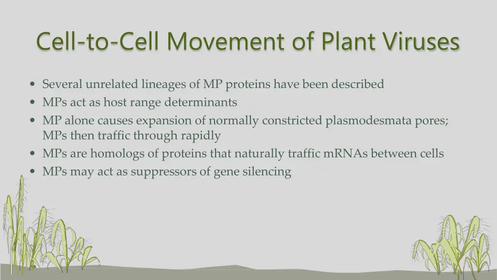 cell to cell movement of plant viruses 1