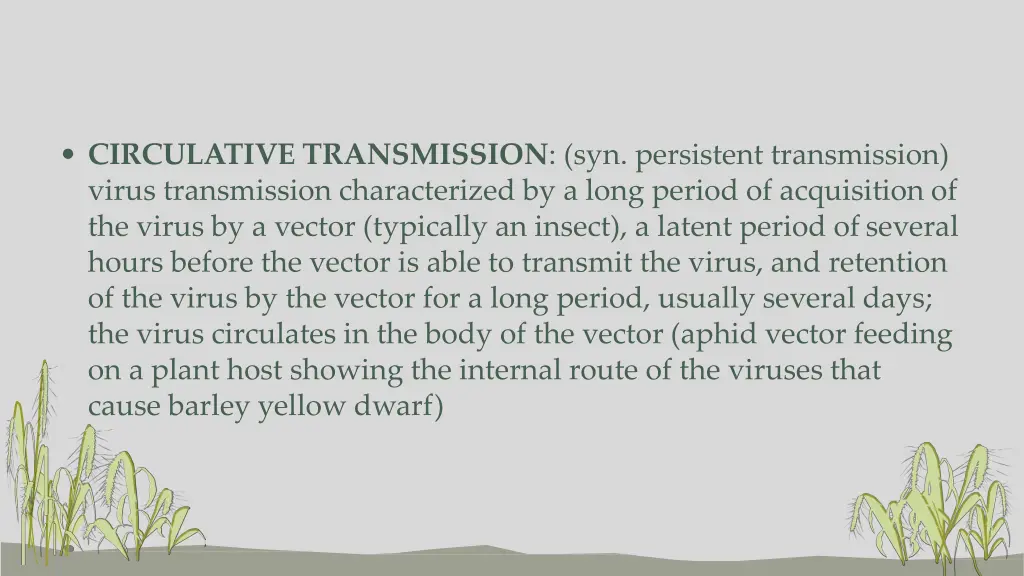 circulative transmission syn persistent