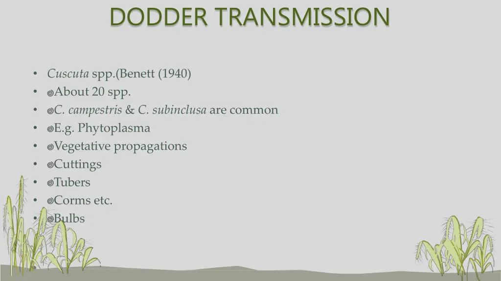 dodder transmission