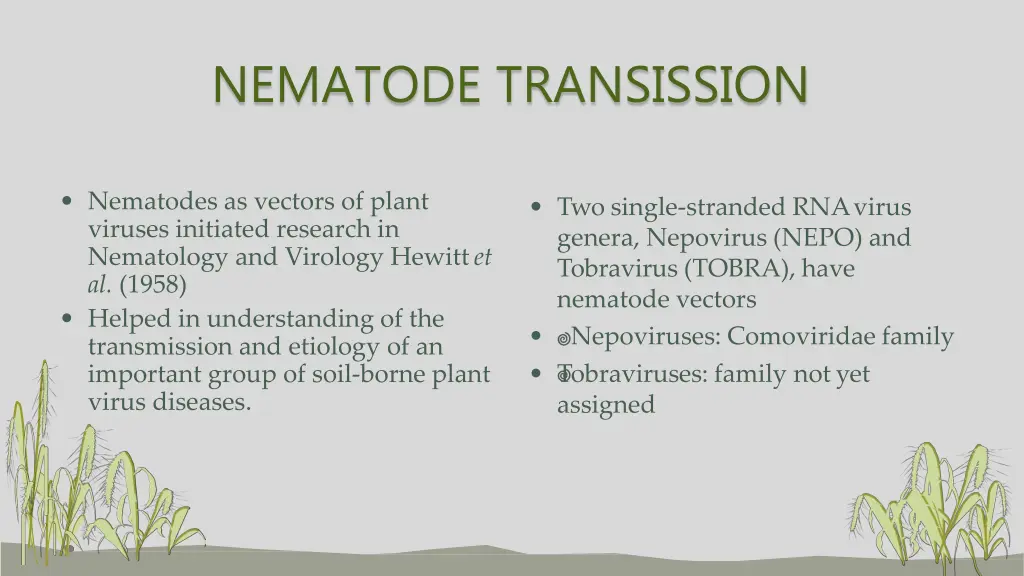 nematode transission