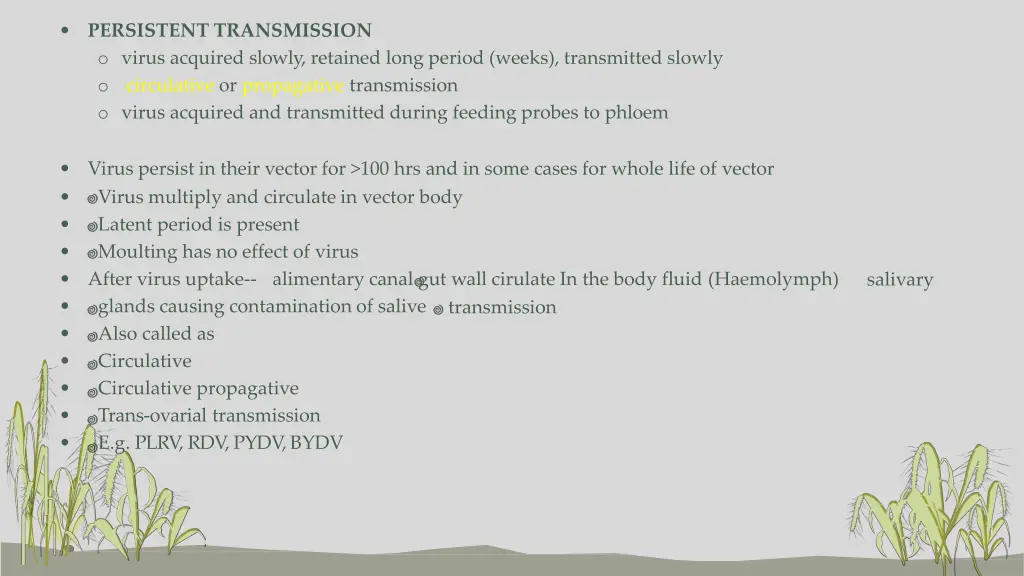 persistent transmission o virus acquired slowly