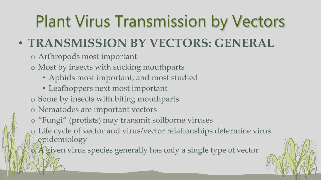 plant virus transmission by vectors