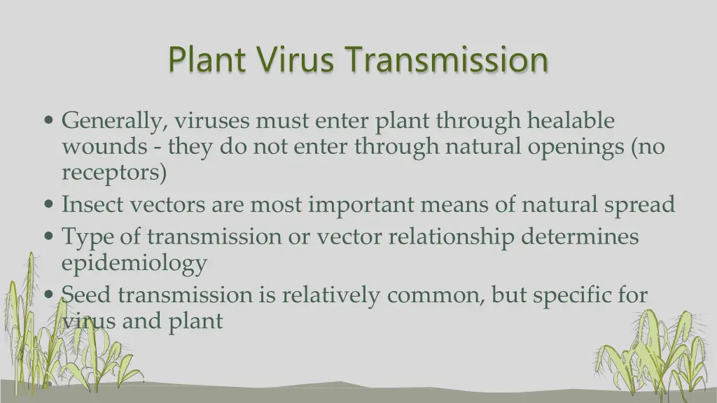 plant virus transmission