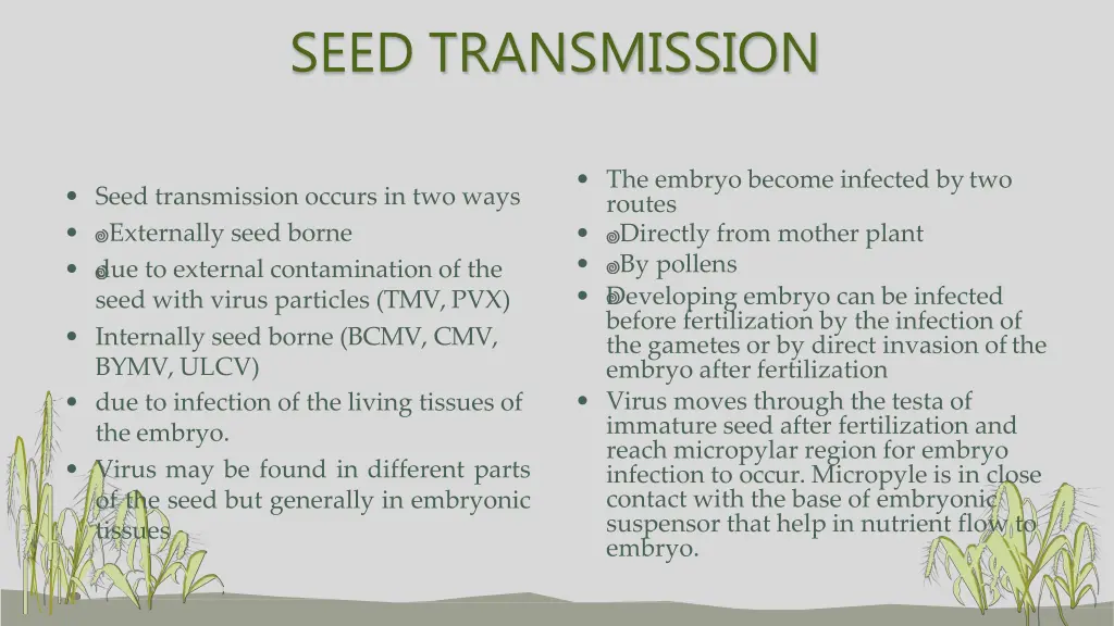 seed transmission