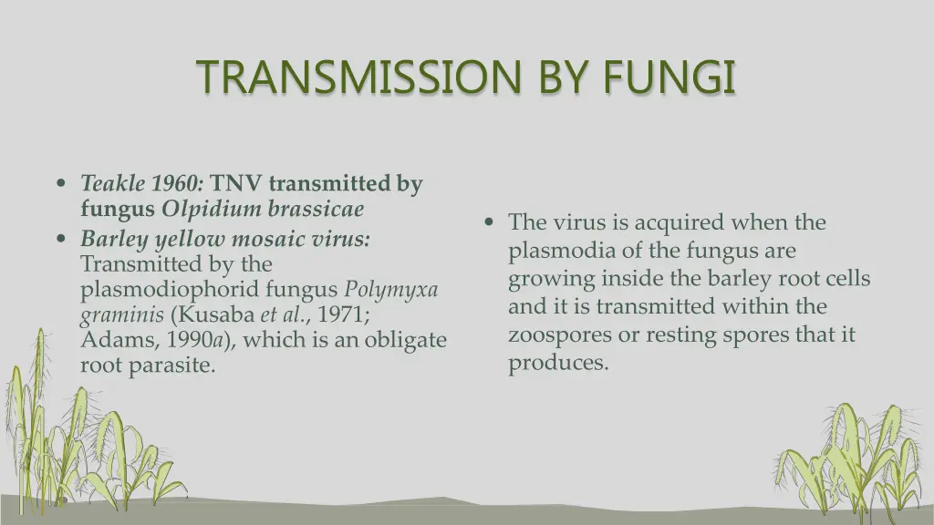 transmission by fungi