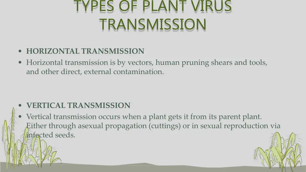 types of plant virus transmission