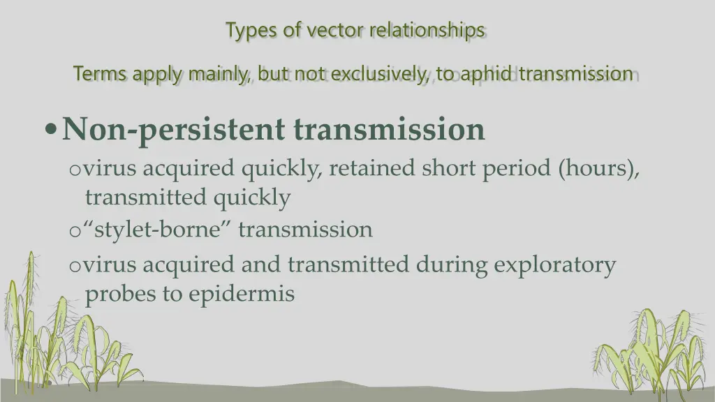 types of vector relationships