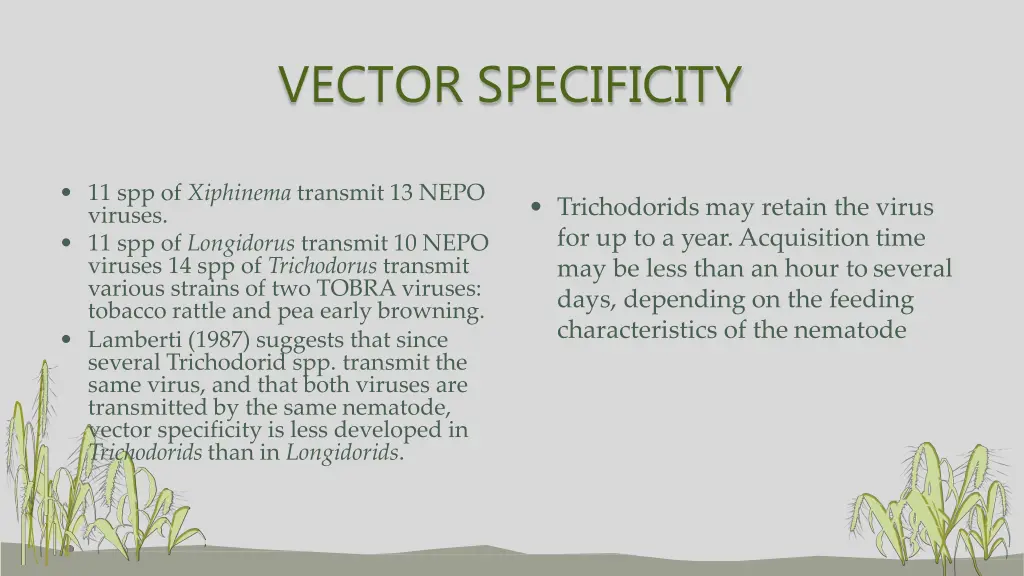 vector specificity