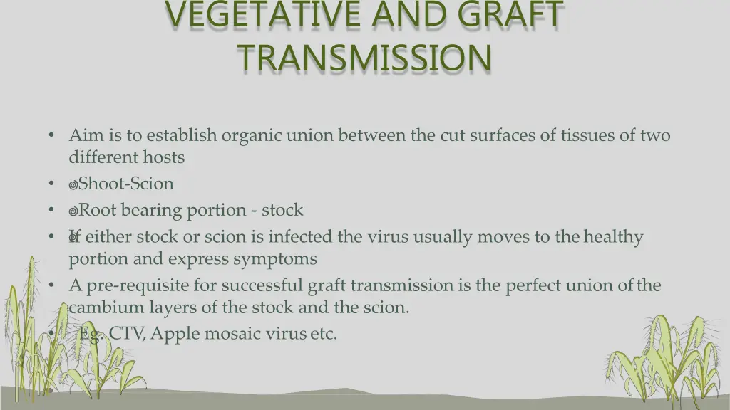 vegetative and graft transmission