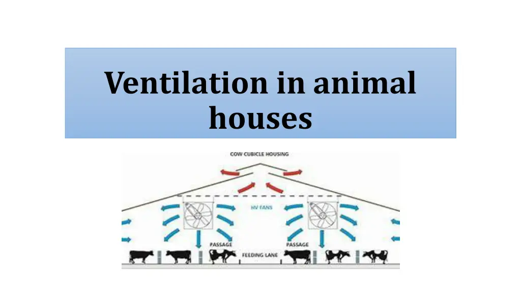 ventilation in animal houses