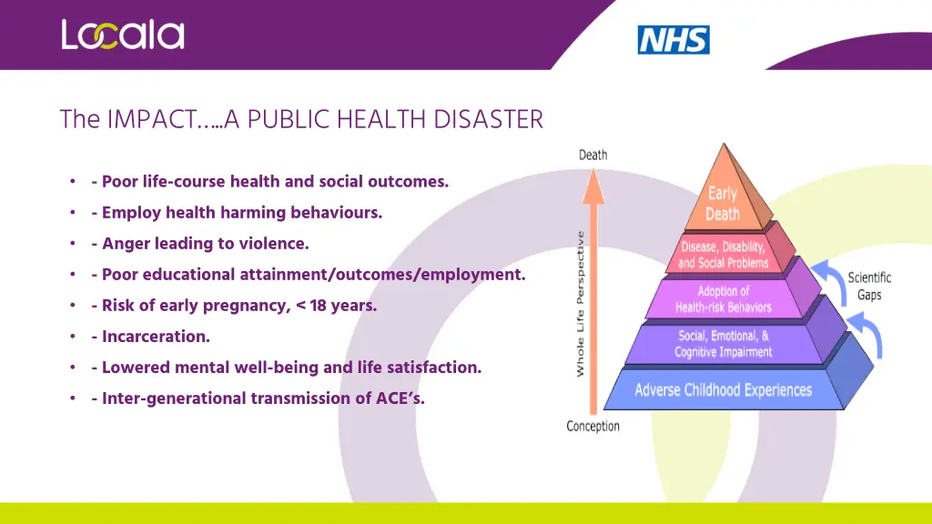 the impact a public health disaster