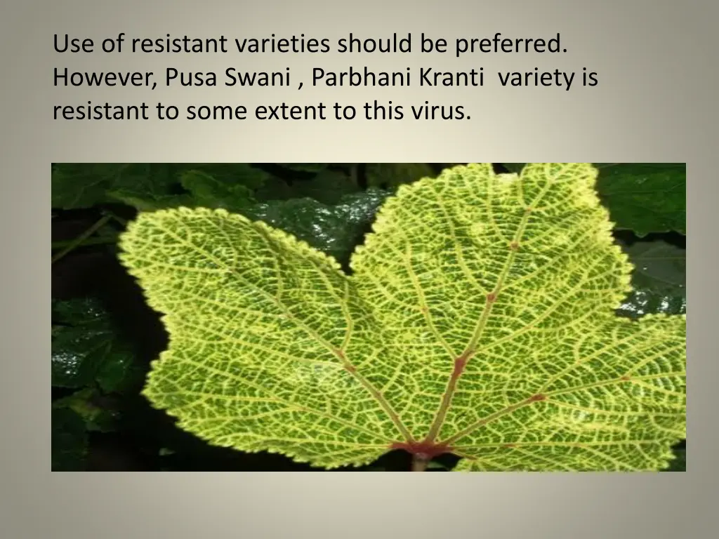 use of resistant varieties should be preferred