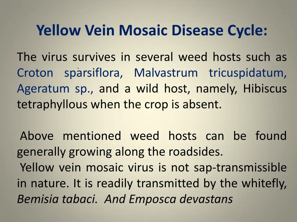 yellow vein mosaic disease cycle