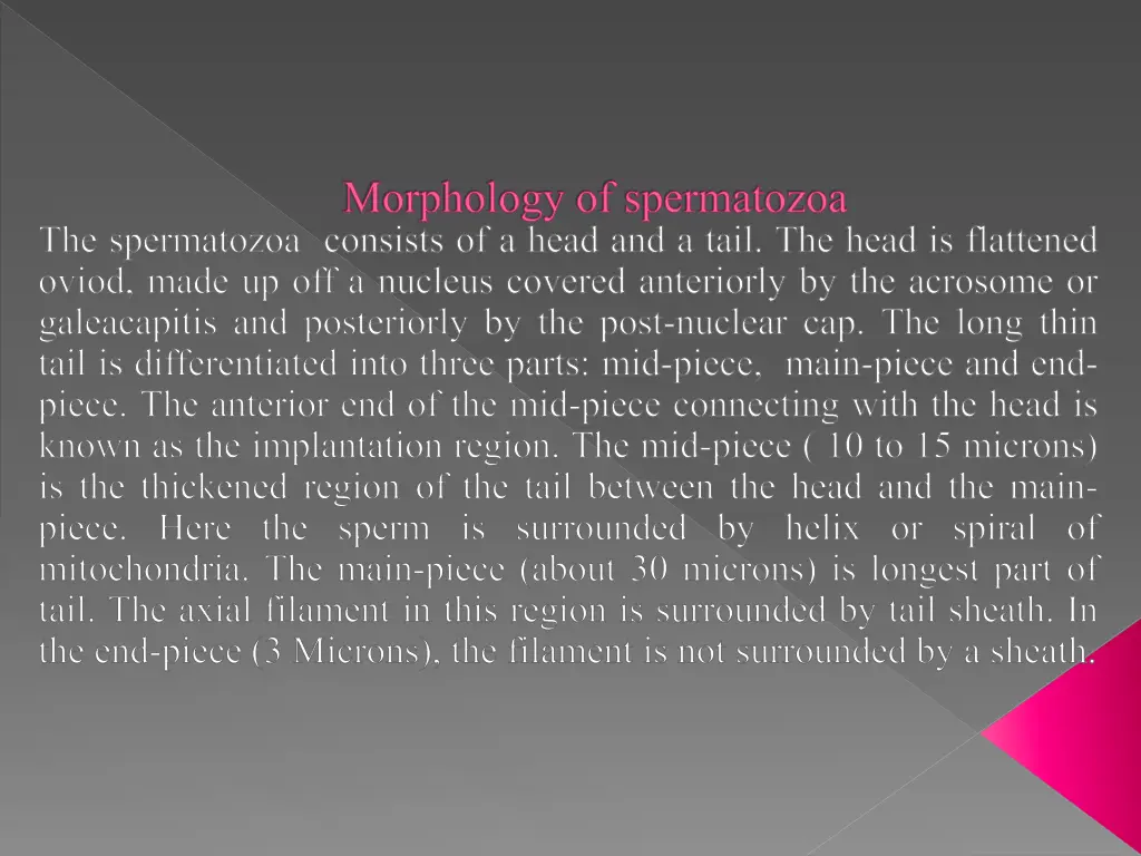 morphology of spermatozoa