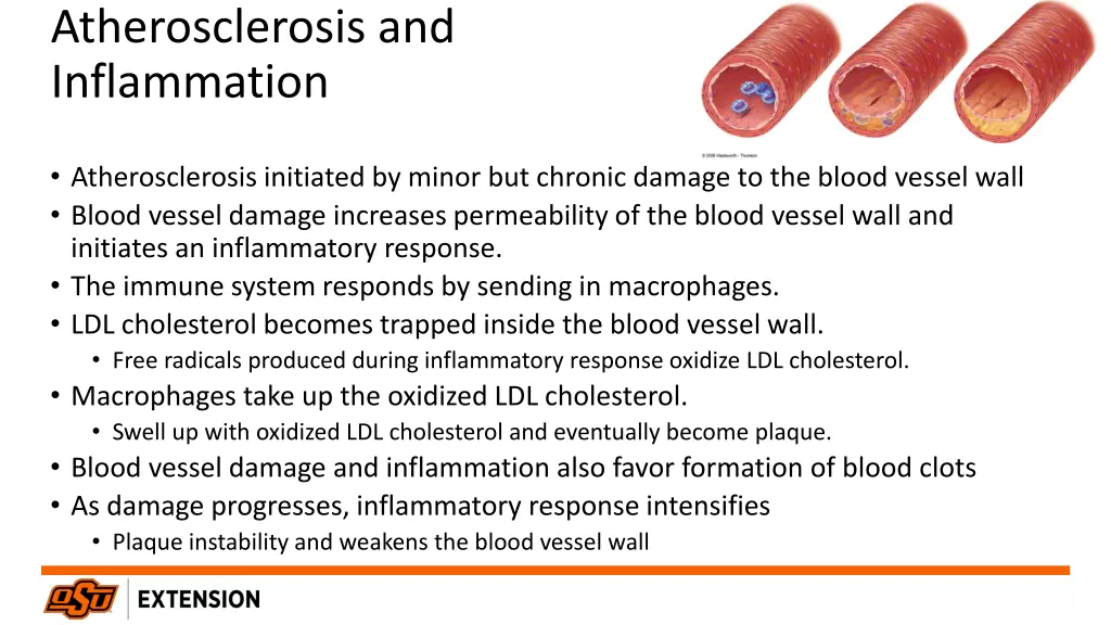 atherosclerosis and inflammation