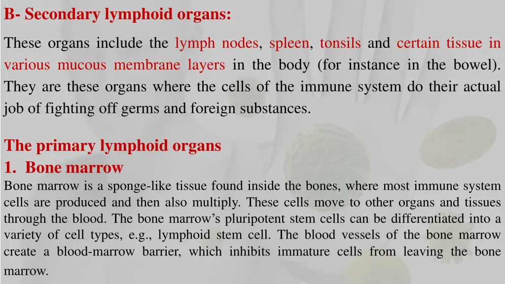 b secondary lymphoid organs