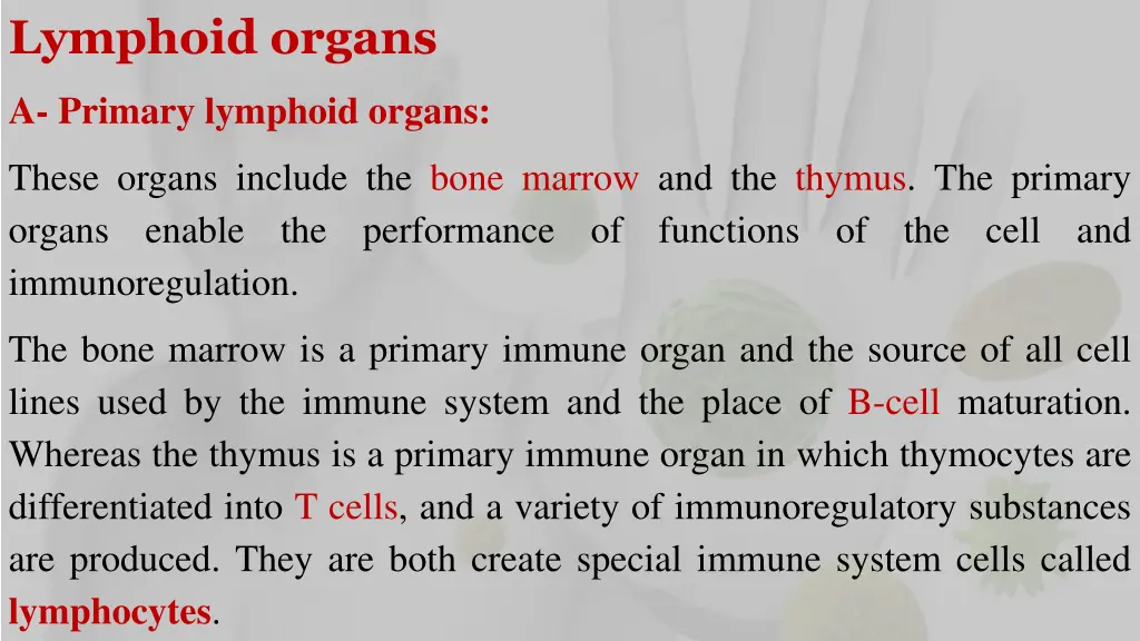 lymphoid organs