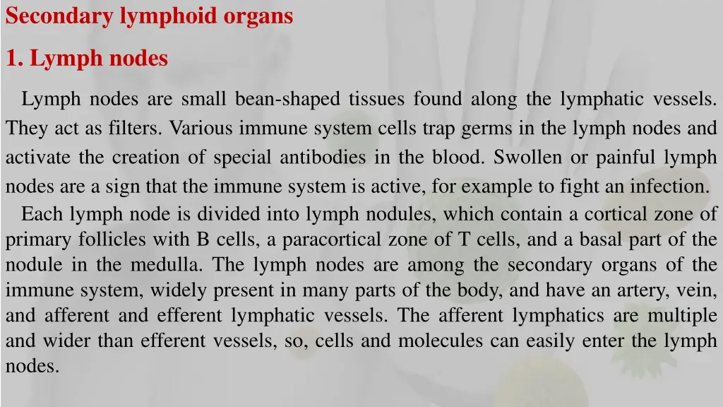 secondary lymphoid organs