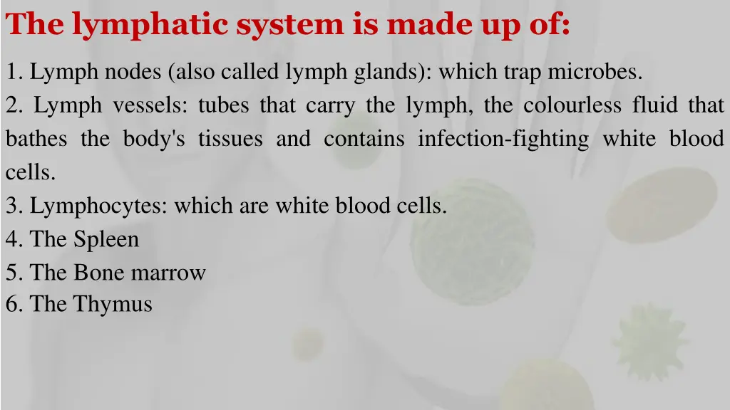 the lymphatic system is made up of