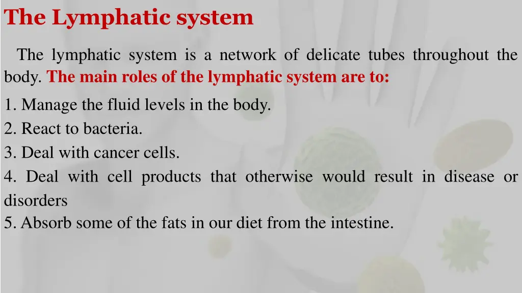 the lymphatic system